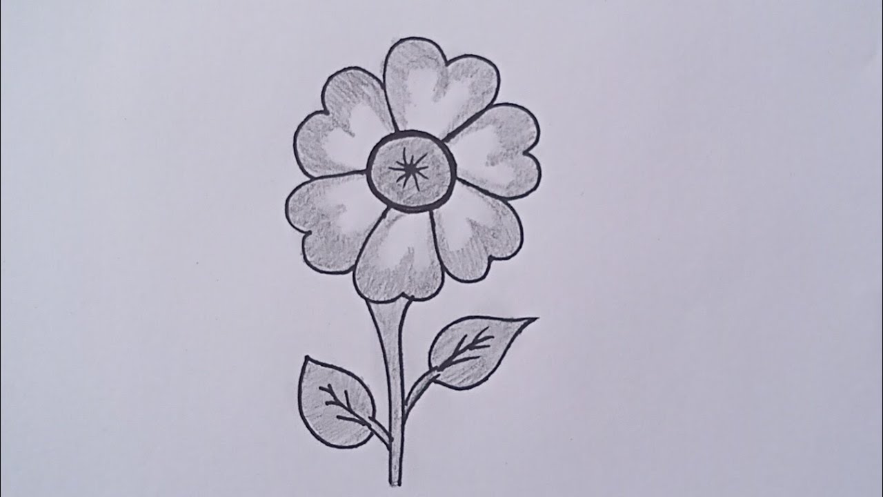 Easy Pencil Flower Drawing Step By Step Infoupdate