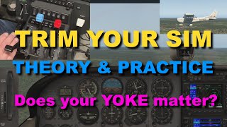 TRIM YOUR SIM: Theory & Practice