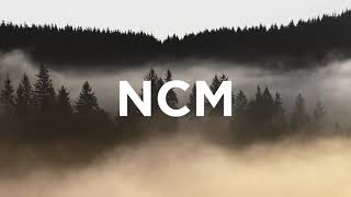 Stillstand - Myuu (NoCopyrightMusic)