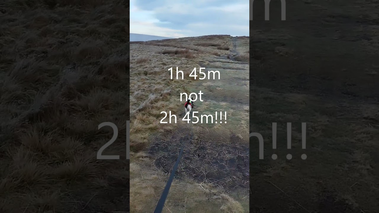 Прогулка по средам, часть 4