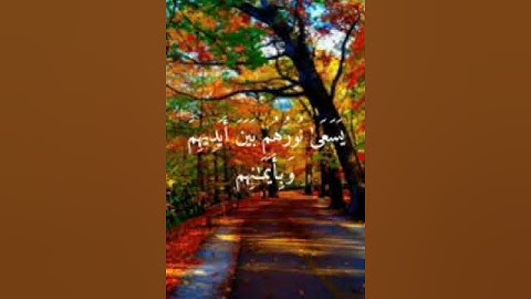 اجمل حالات واتس اب🍃💗تلاوة خاشعه تريح القلب💗🍃🎧ماتيسر من سورة الحديد🍁