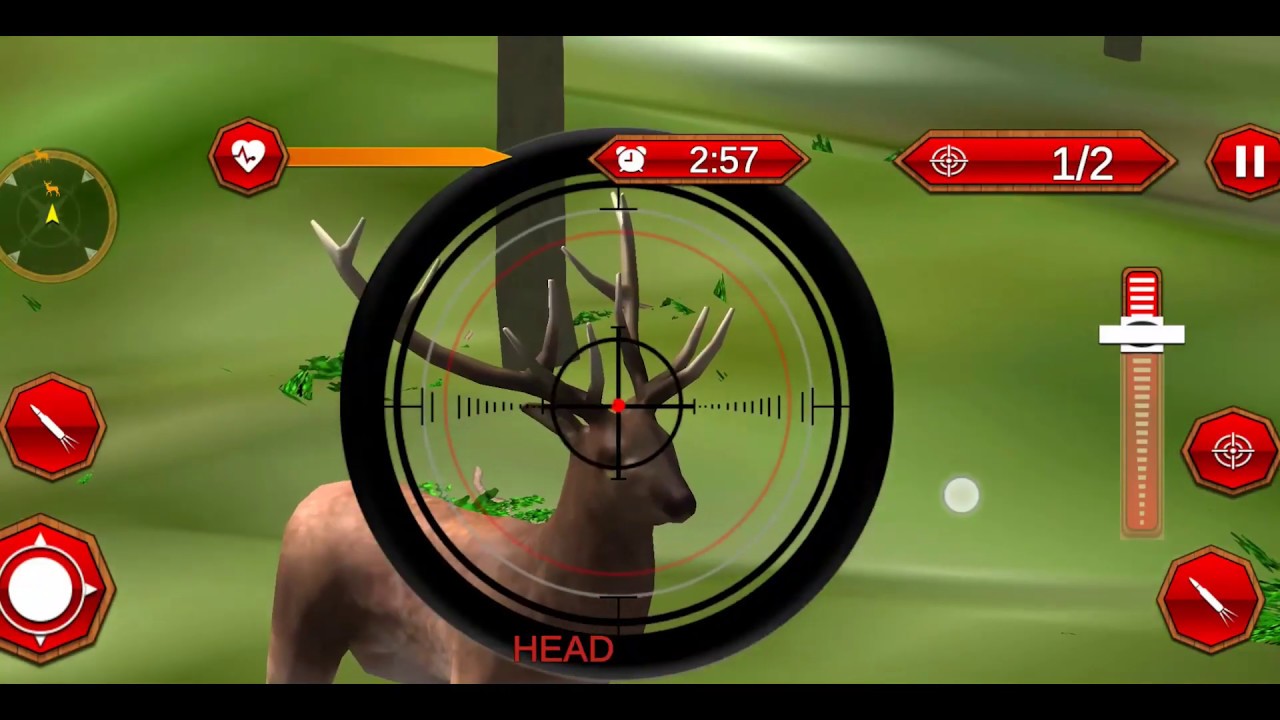 Wild Deer Hunter Sniper Animal Shooting 3D Games YouTube