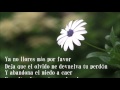 Carlos Rivera - No llores más