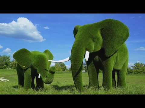 Видео: Green Animals Topiary Garden - Фото обиколка и гид
