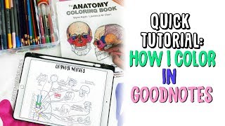 ☆ HOW I COLOR IN GOODNOTES | Quick Tutorial on iPad Pro 10.5 | September Studies