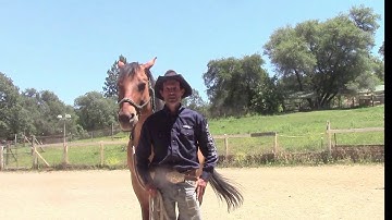 Beat The Barn-Sour Blues, Mike Hughes, Auburn Ca. (Trailer)