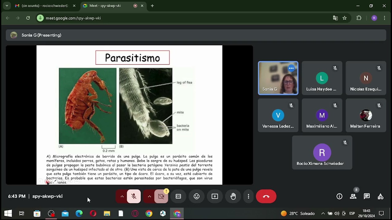 Microbiología general - Interacción del microorganismo con el huésped