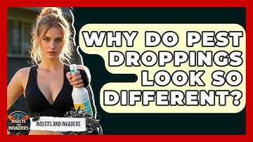 Why Do Pest Droppings Look So Different? - Insects and Invaders
