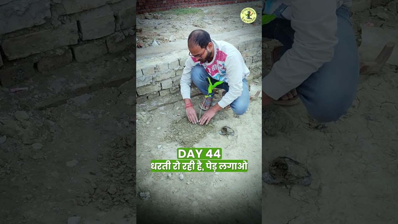 Oxygen For Life| Day - 44 