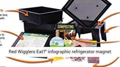Worm Factory 360 Worm Composting Bin - Infographic Refrigerator Magnet (Black) Review - Best Price