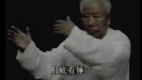 Fu Zhong Wen Yang Family Tai Chi Long Form part 1