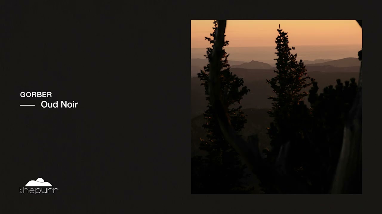 Gorber - Istina (Original Mix)