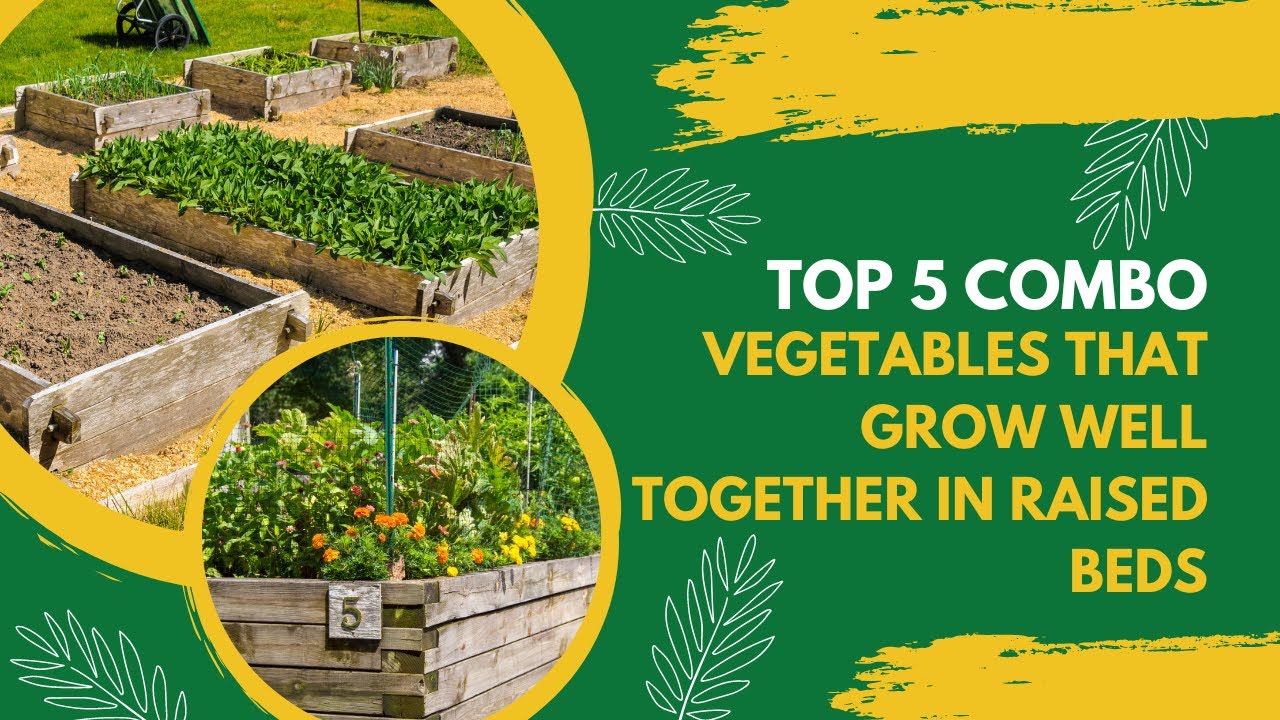 Vegetables That Grow Well Together In Raised Beds Companion Planting Vegetable Gardening