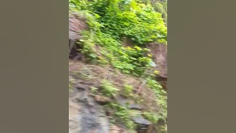 Gaya to kodarma by train video  like n share if u like