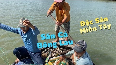 Săn Cá Bông Lau Đầu Mùa Nấu Canh Chua Bần Và Kho Tộ Ngon Hết Nước Chấm | Cù Lao Dung Vlogs #736