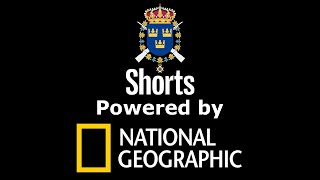 Simp Lc Svea Livgarde