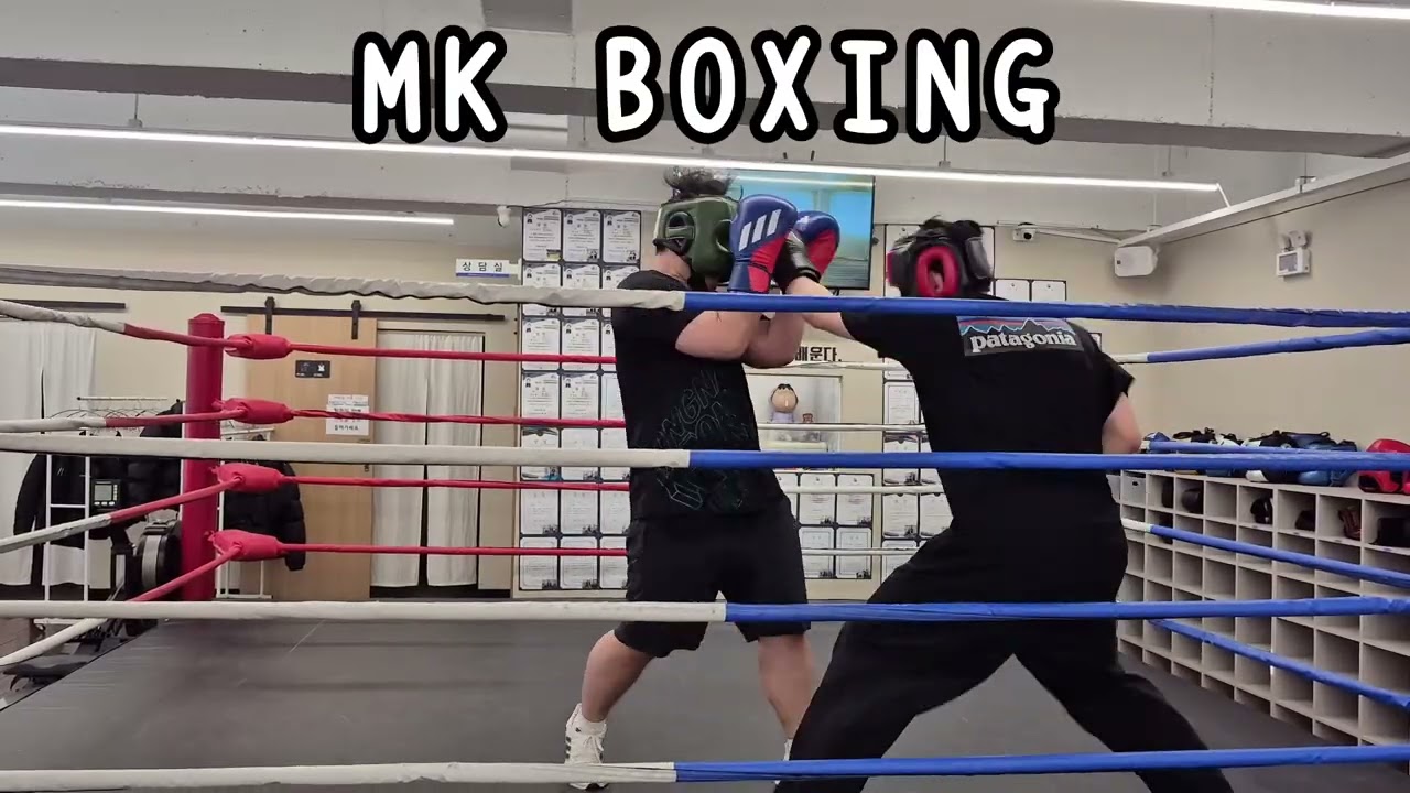 스파링🥊