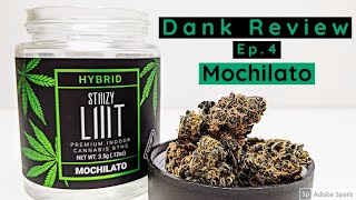 Mochilato (Stiiizy) | Dank Review Ep 4 | Premium Cannabis Flower *legal*