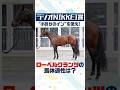 【ラジオNIKKEI賞 2026】小回り&ハンデ戦で狙うは器用なタイプ!