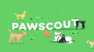 Pawscout QR Tag
