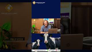 Global Dairy Tech proud to share valuable insights from Phillip Visser, a dairy farm consultant