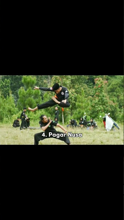 7 Perguruan Pencak Silat yang Ditakuti di Indonesia 😱