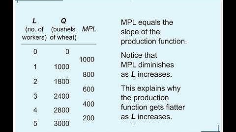 Chapter 13: The Costs of Production