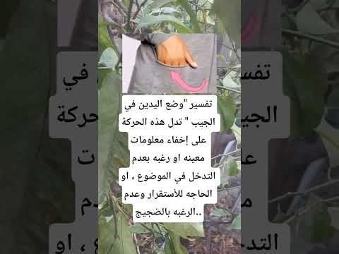 تفسير وضع اليدين في الجيب تدل هذه على معلومات معينه او هل تعلم معلومات