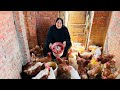 تعالوا هقولك علي الخلاصة في زيادة انتاج البيض مكون واحد بس سبب الرزق عندى والخير الكتير 