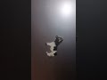 instalación eléctrica para una cocina con frigideres y- planchas