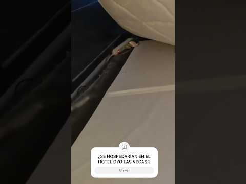 Momentos inolvidables en Moom Palace Cancún 😍