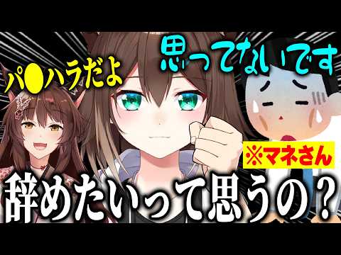 たまちゃんで命削られてるマネさんと最近たまちゃんに甘すぎるにじさんじ【切り抜き/フミ/文野環/加賀美ハヤト/にじフェス】
