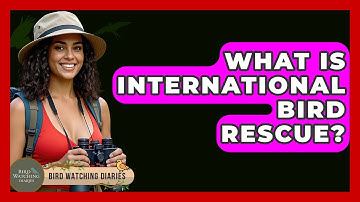 What Is International Bird Rescue? - Bird Watching Diaries
