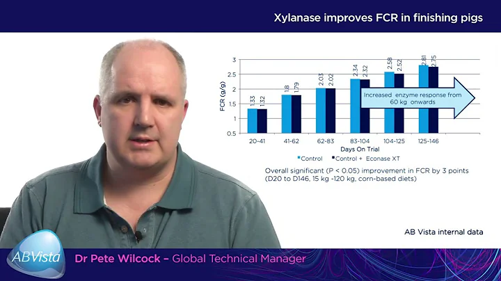 SUMMARY: Achieving consistent gains through xylanase application in swine