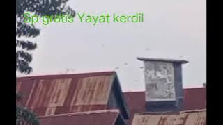 Sp gratis Yayat kerdil Colok rbw song 2 thn waletnya berdatangan, spx ada tlegram buka di deskripsi👇