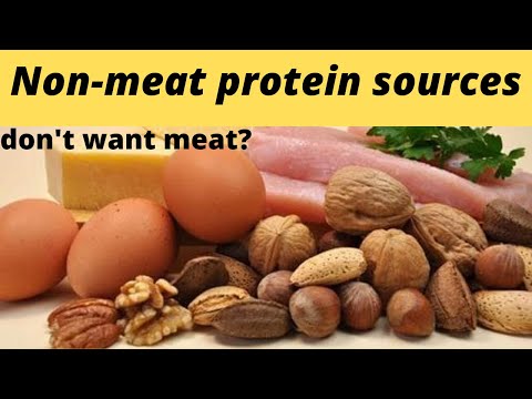 Protein: Non Meat Protein Sources