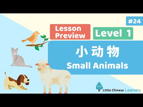 Kids Learn Mandarin - Animals 小动物 | Lesson A24 Preview | Little Chinese Learners