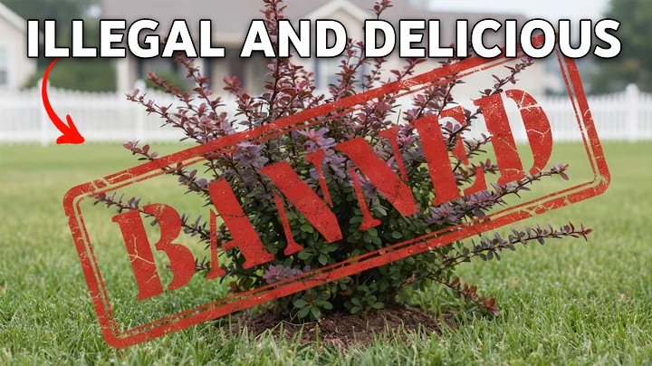 They Invaded the US… and You Can Eat Them: 10 Edible Invasive Plants