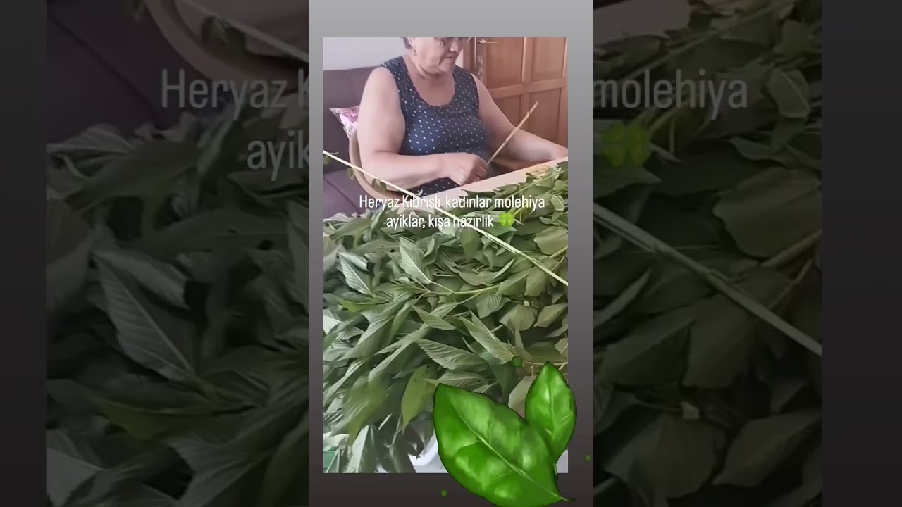 Kıbrıslı kadınlar kışa hazırlık yapıyor