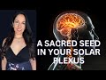 Every Month an Enlightenment Seed is formed in Your Solar Plexus