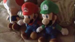 Mario and Luigis Crazy and Retarded Adventures Episode 1