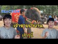 Reaction เจ้าชายบัวบาน I ร้องไกด์แนวอคูสติกโดย น้องมิ้นท์ สุธาทิพย์ I E Proy Style