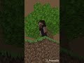 minecraft 3d animation Steve #minecraft