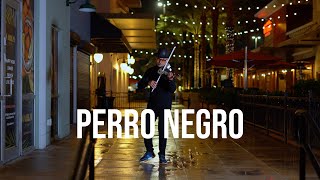 Perro Negro - Bad Bunny Ft Feid - Frank Lima violin cover