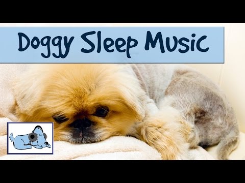 Music for Dogs to go to Sleep, Dog Anxiety Treatment thumbnail