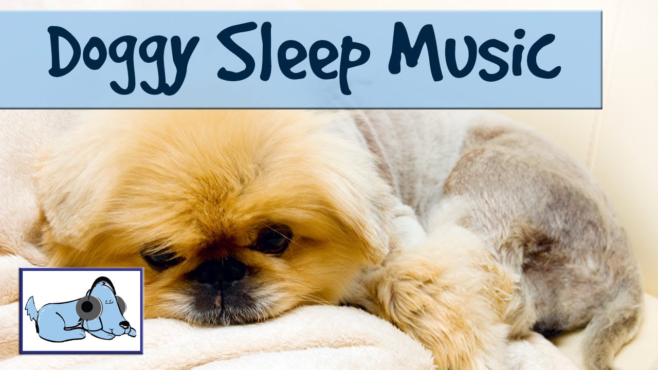 songs that make dogs go to sleep