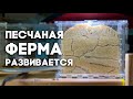 ПЕСЧАНАЯ МУРАВЬИНАЯ ФЕРМА, КАК ПОЖИВАЮТ ЖНЕЦЫ И ДРУГИЕ МУРАВЬИНЫЕ НОВОСТИ \\ ВЛОГ \\ Димон и пумба