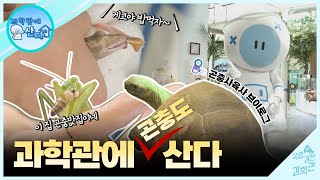 국립과천과학관 곤충생태관 Insectarium 브이로그📹 오늘은 내가 🦗곤충사육사!ㅣ과학관에 산다