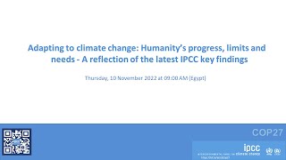 Adapting to climate change: Humanity’s progress, limits and needs