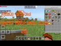 නව අාරමිබය සහ ගුහා ගමන Minecraft survival ep 1 😎😎